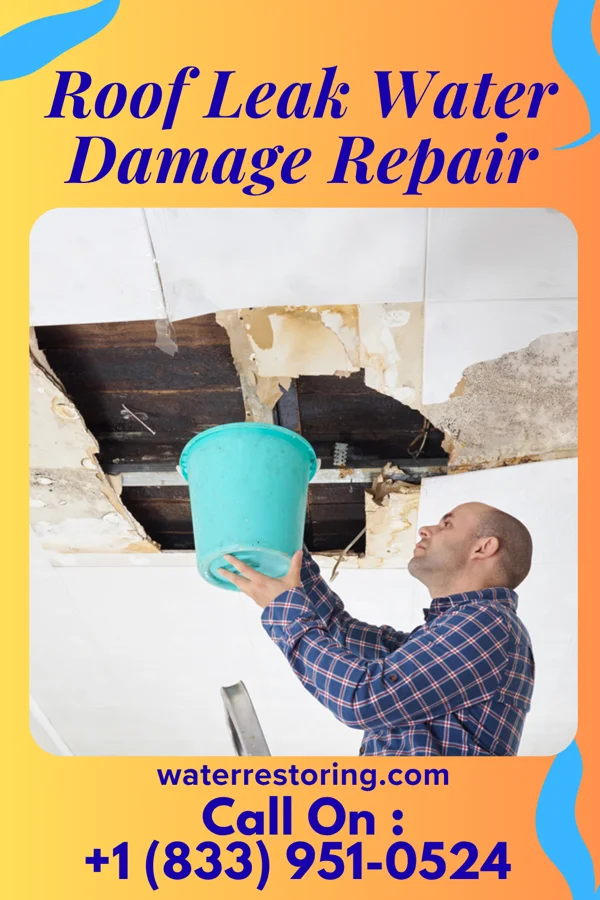 Roof Leak Water Damage Repair in Kimball, TN
