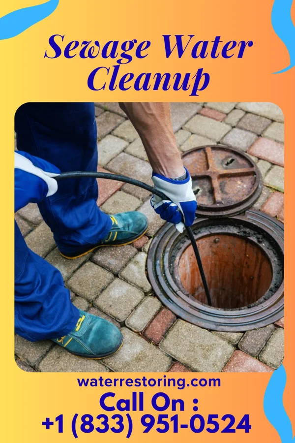Sewage Water Cleanup in Kimball, TN